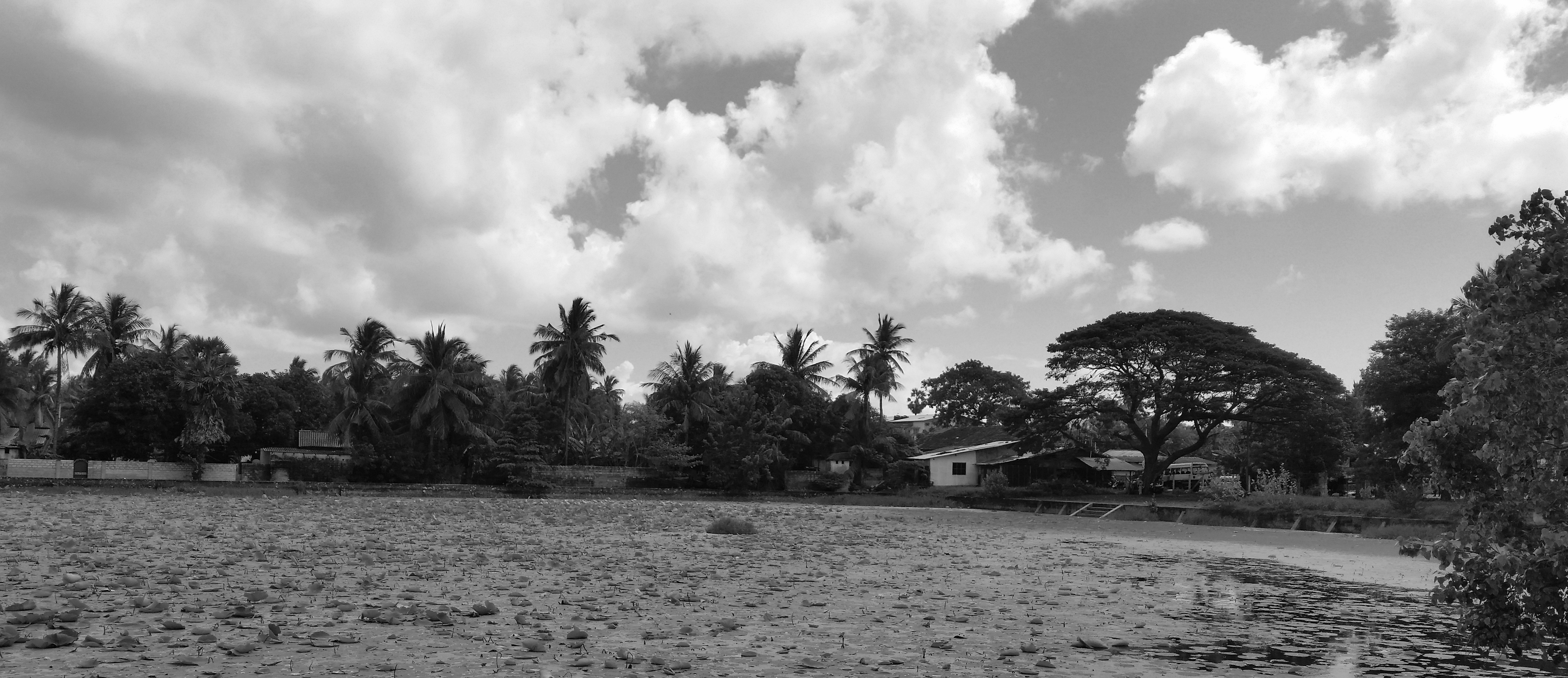 ಸಾಕ್ಷಿ – ಇರುವು; ಅರಿವು; ಹರವು - 1