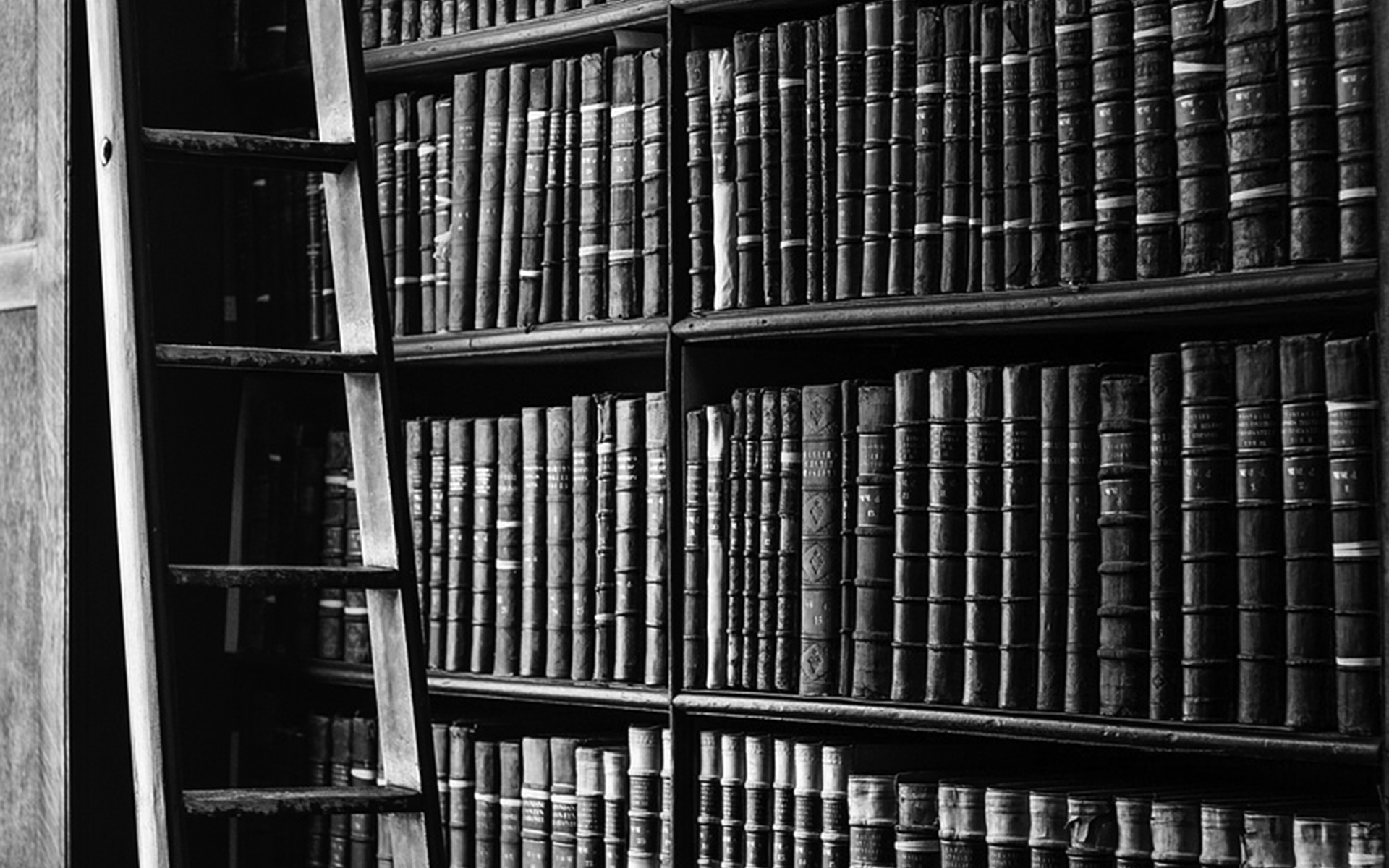 Devotion to Education