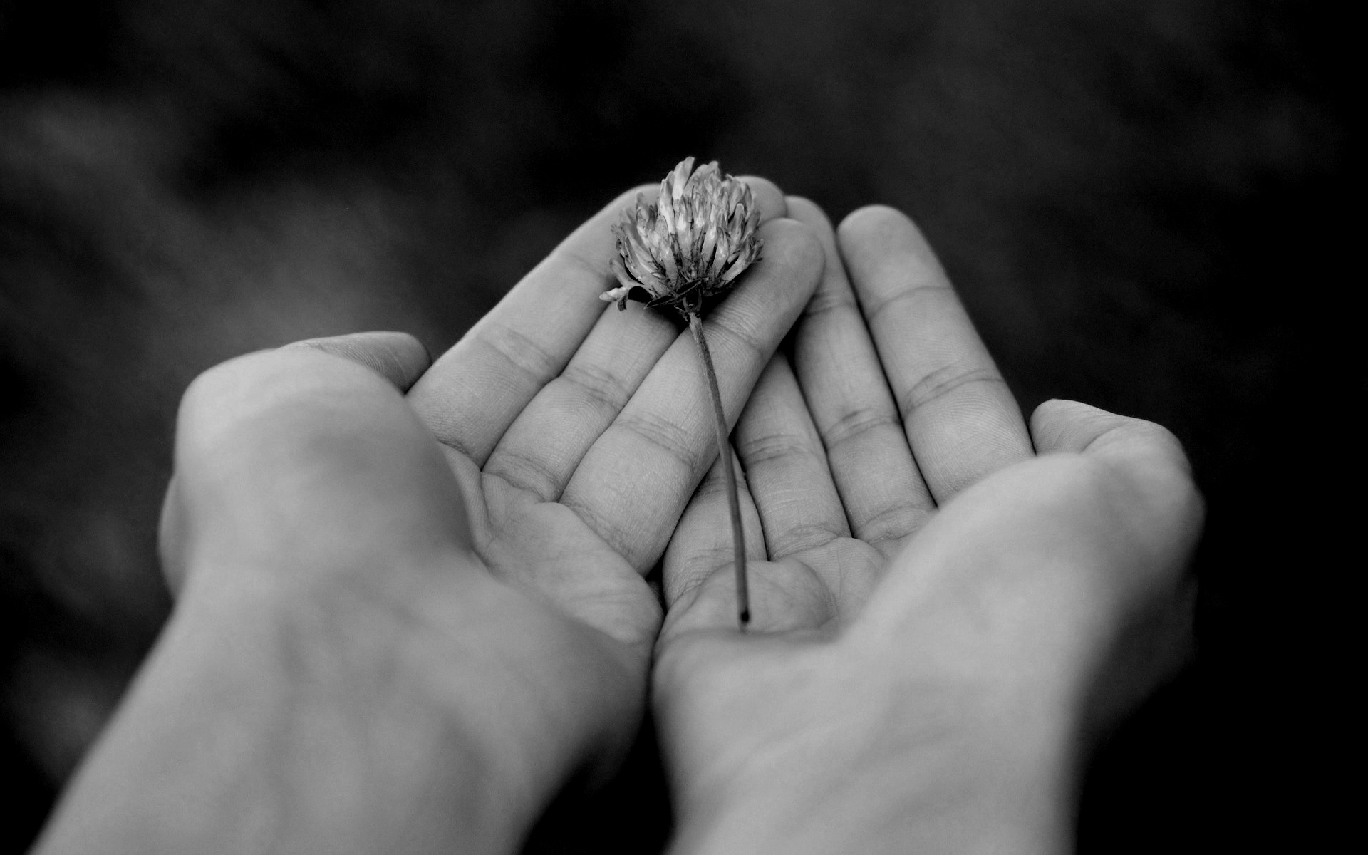 কৃষ্ণ-জীবনে ভগবদ্গীতা – ঔদার্য