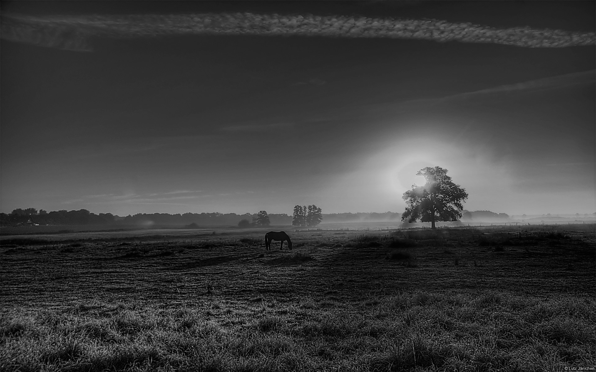 The Sport of Renunciation: Bhartṛhari’s Vairāgya-śatakam