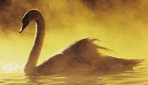 Saṃskṛta-nāṭaka - Rājaśekhara (Part 4)