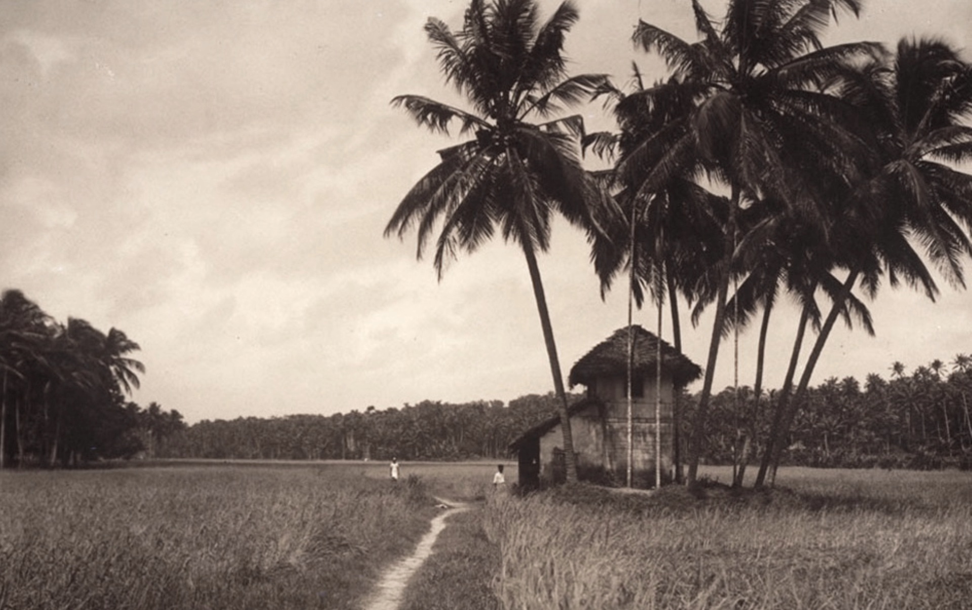 Simple Living and Sublime Thinking