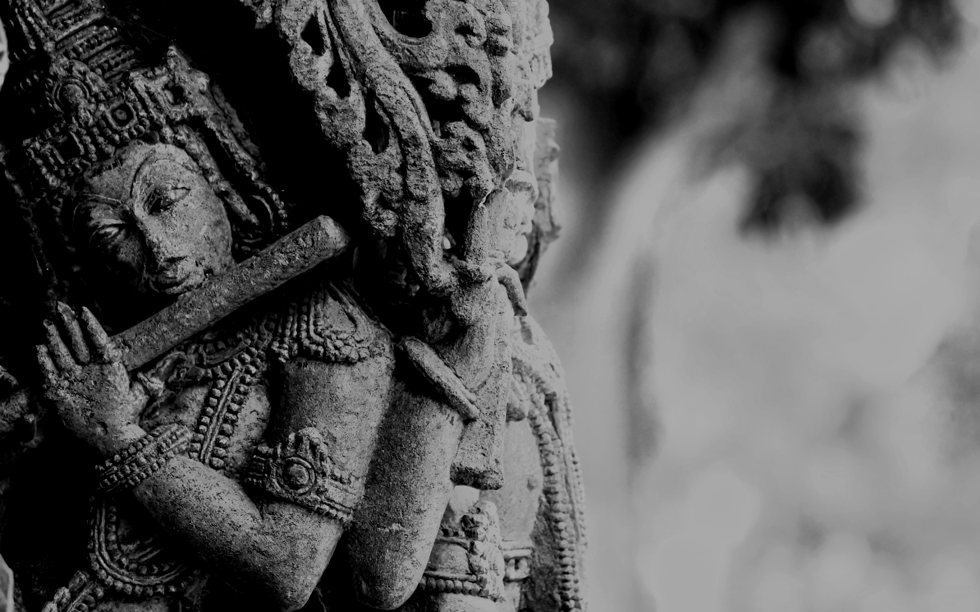 কৃষ্ণ-জীবনে ভগবদ্গীতা – বহুজ্ঞ কৃষ্ণ