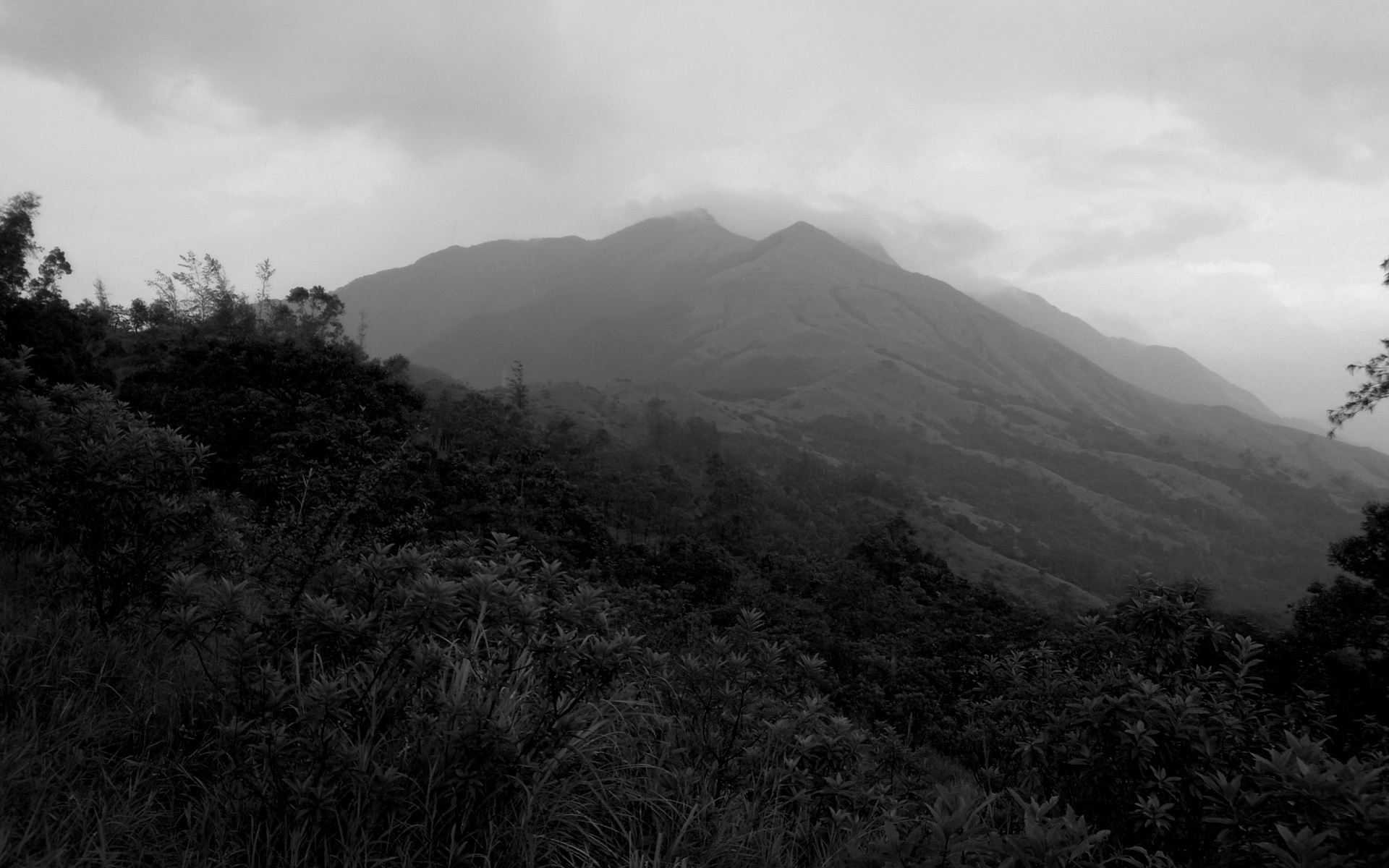 A Critique on Some Views of M. Hiriyanna