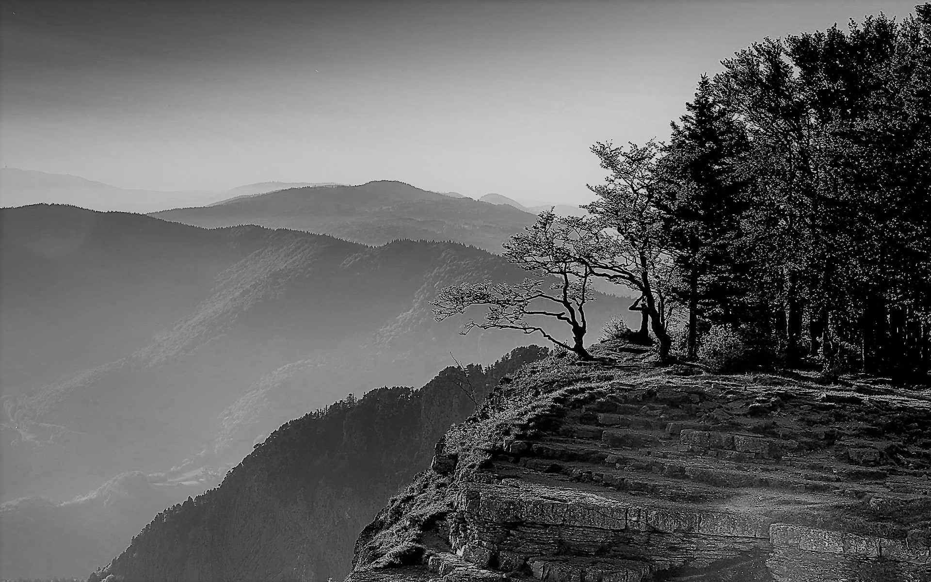 काव्यप्रकारवैविध्यसाधने अलङ्काराणां योगदानम्