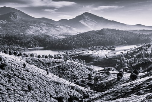 The Essential Sanātana-dharma