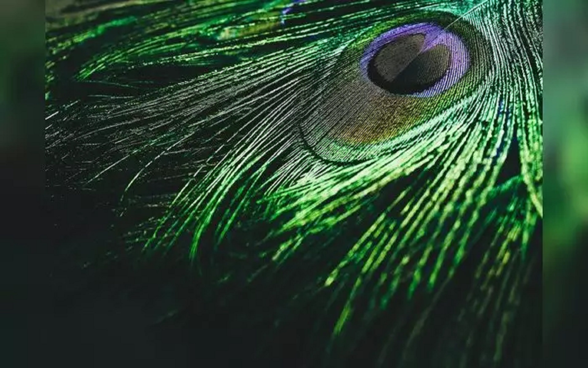 Saṃskṛta-nāṭaka - Bhavabhūti (Part 8) - Mālatī-mādhava