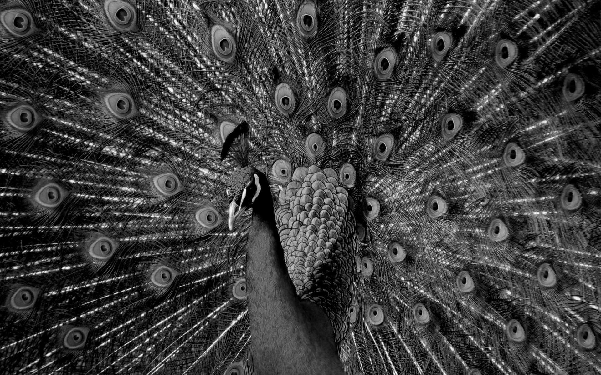 Chinmaya Summer School 2017 – Day 2