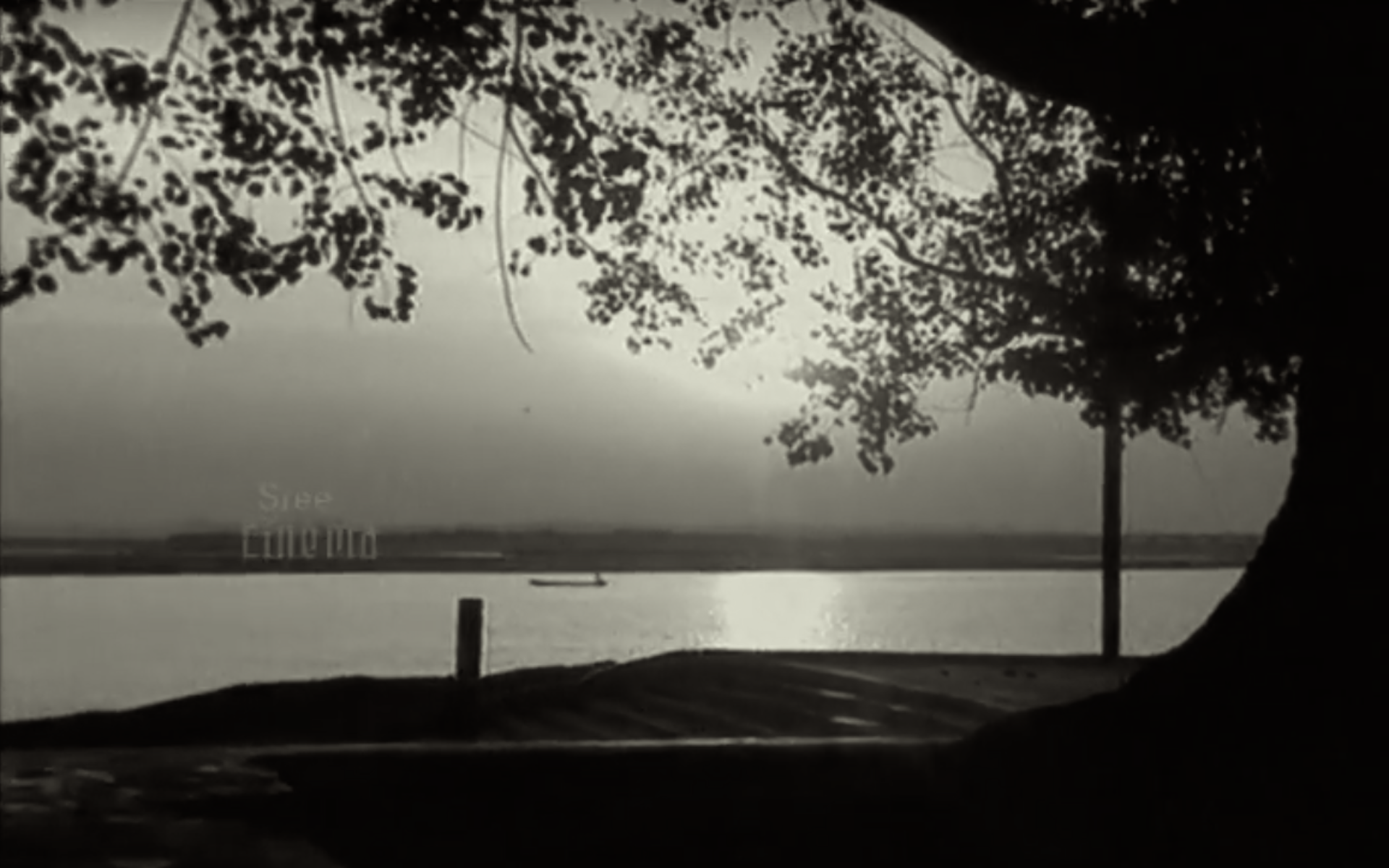 The Cinematic Art of K Viswanath: An Appreciation