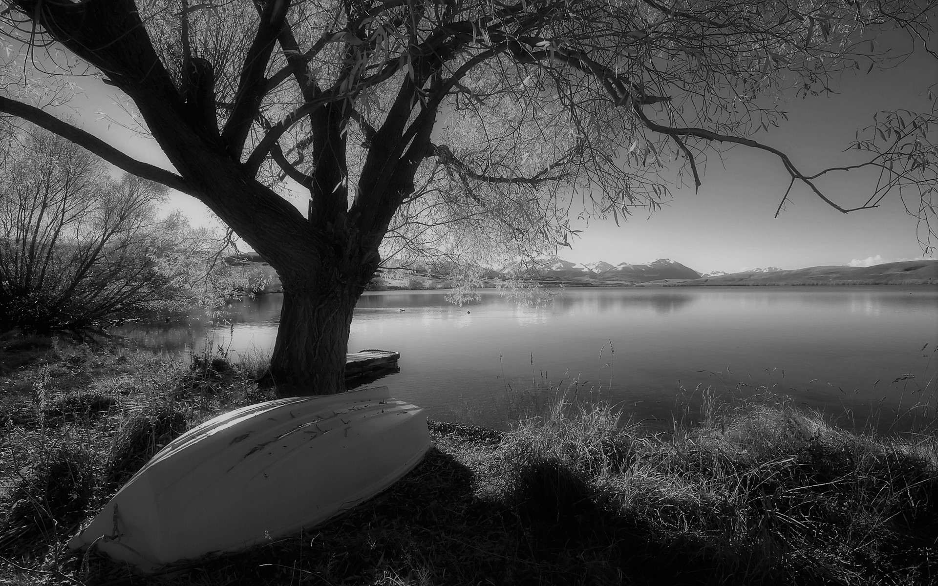 Unsung Poetry (Part 1)