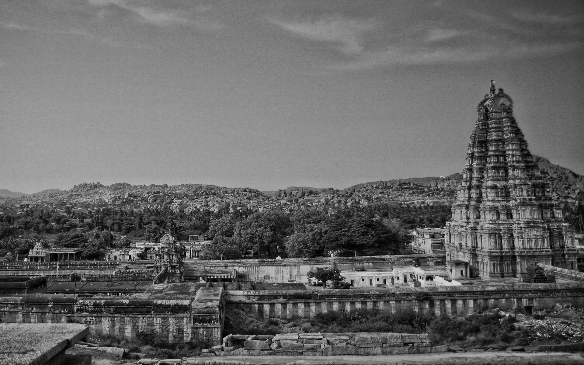 Madhava-Vidyaranya: Contributions to Agriculture and Commerce