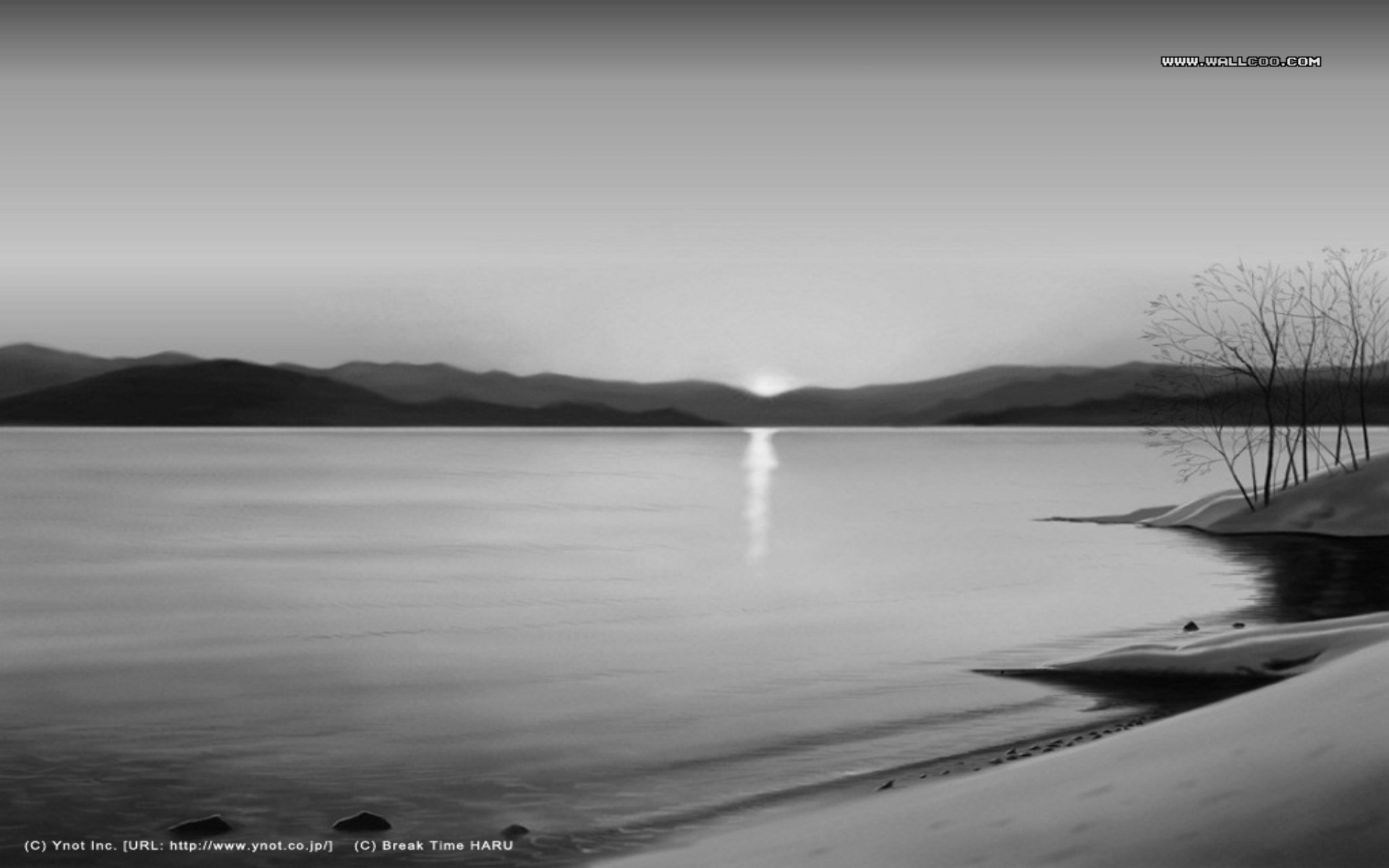 Mahābhārata: - Saṃnyāsa, Yajña-dāna-tapas