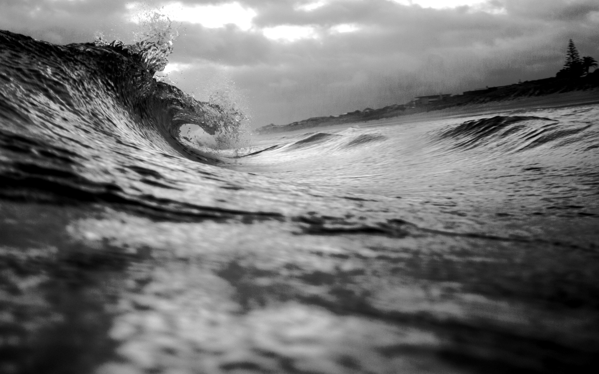 A Story for a Verse - Vikatanitamba