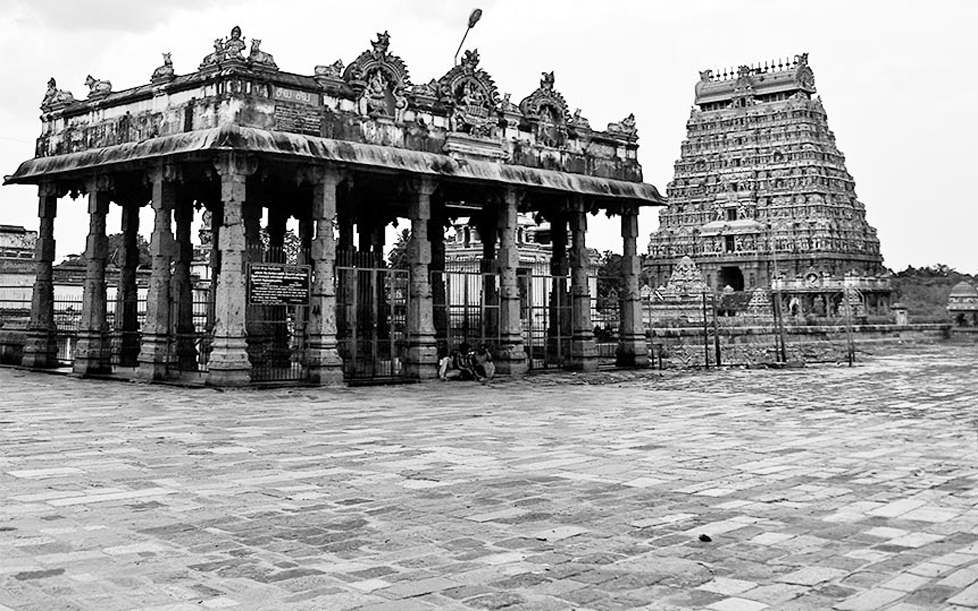 Debunking the Aryan-Dravidian Issue: An Indigenous Approach