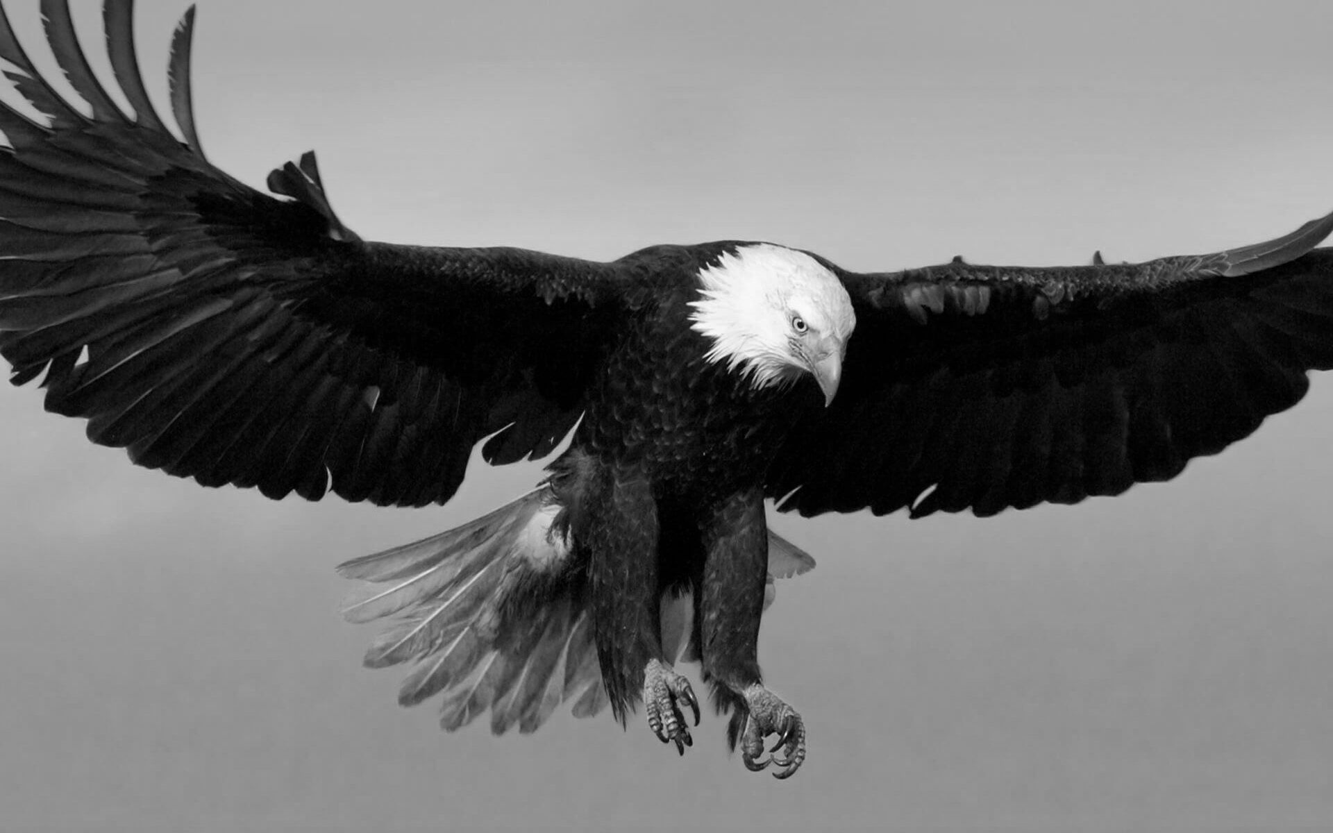 Stories Behind Verses: Acumen and Argument