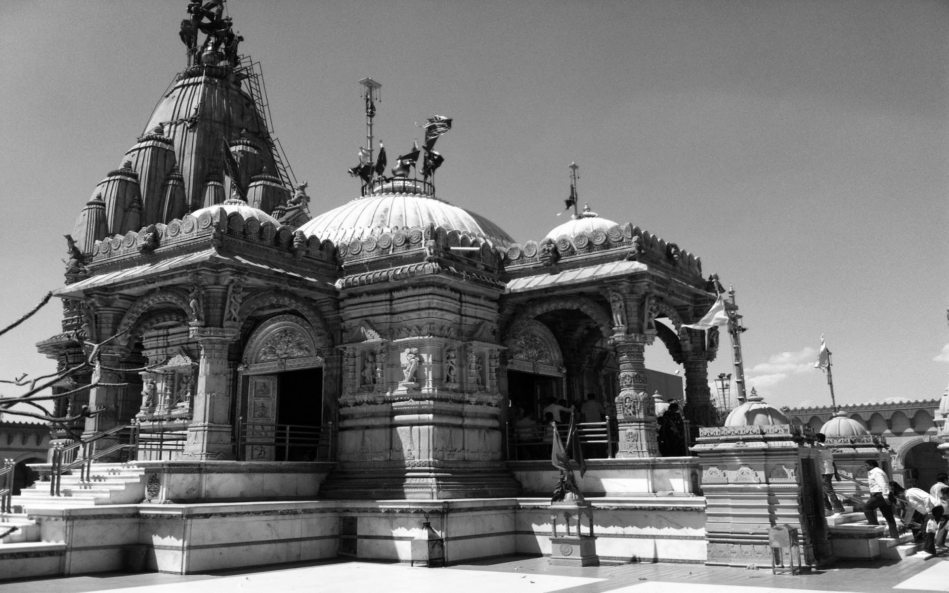 Hanagal Virupaksha Shastri’s Unwavering Conviction in the Vedas