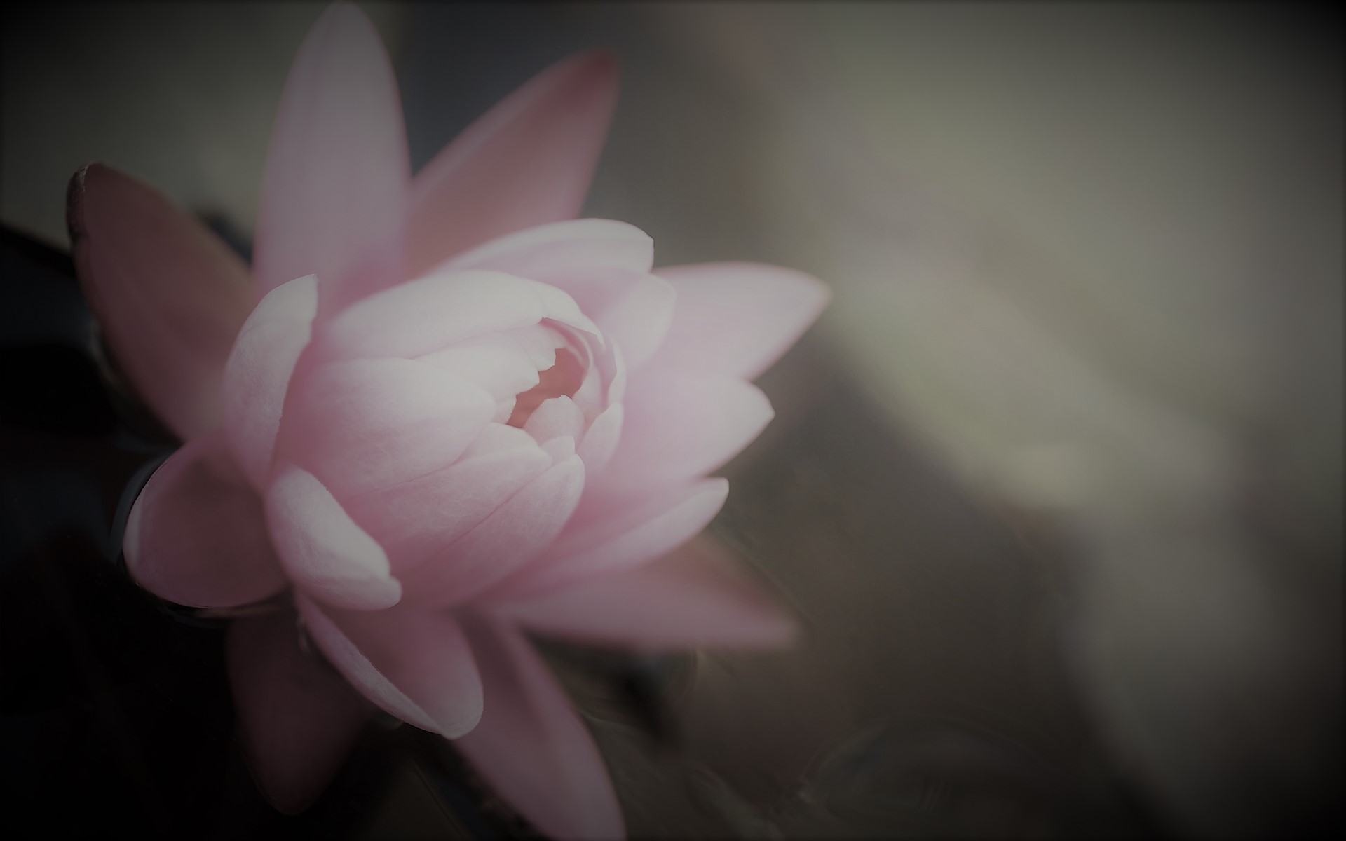 Introduction to the Kathāmṛta – Part 4 – Bṛhat-kathā-śloka-saṃgraha and Pèruṅkadai