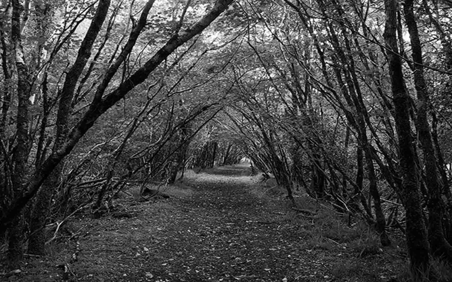 Mahābhārata - Episode 35 - Story of Dharma-vyādha and the Goṣa-yātra Idea