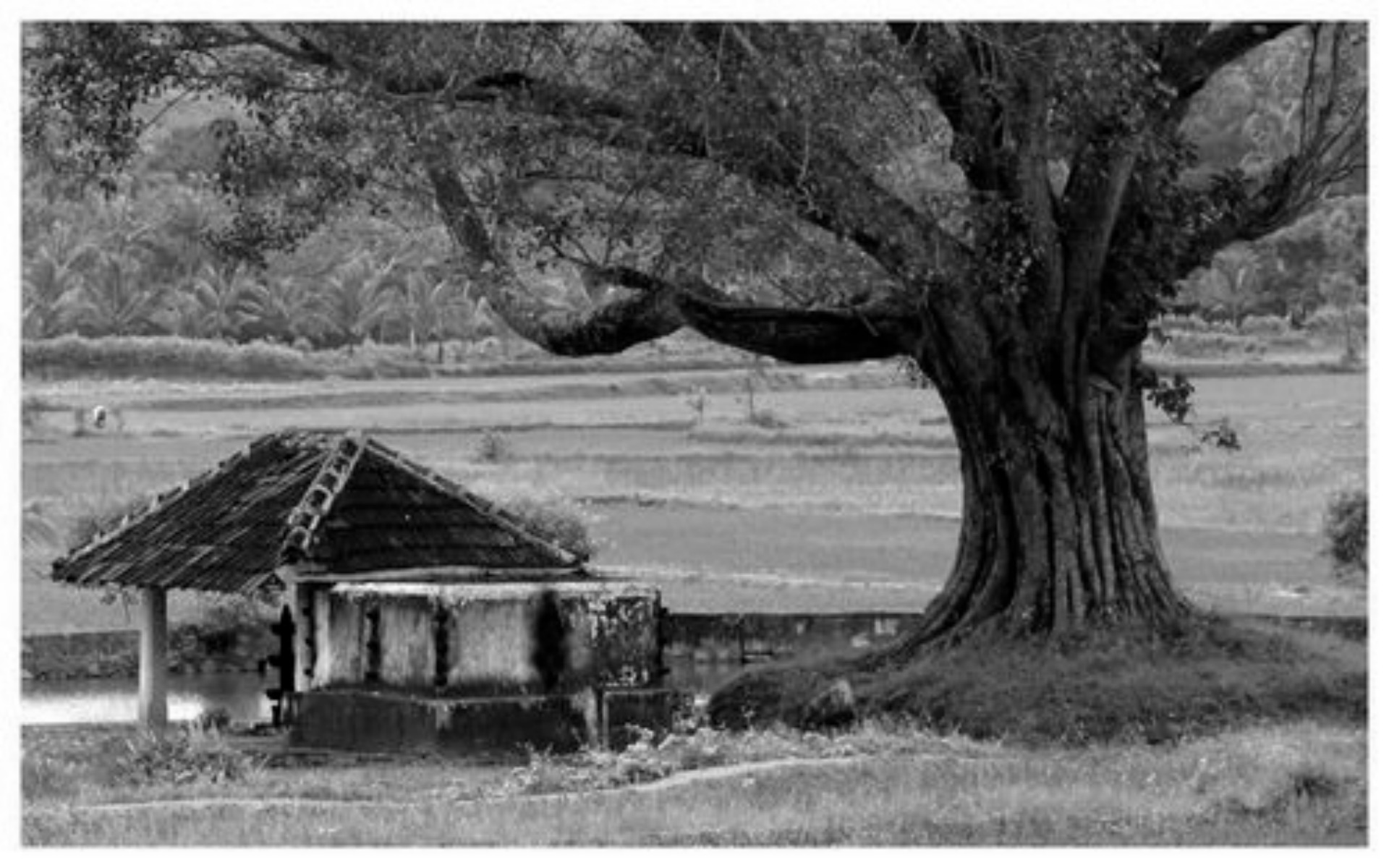 A story for a verse - Manorama Tampuratti