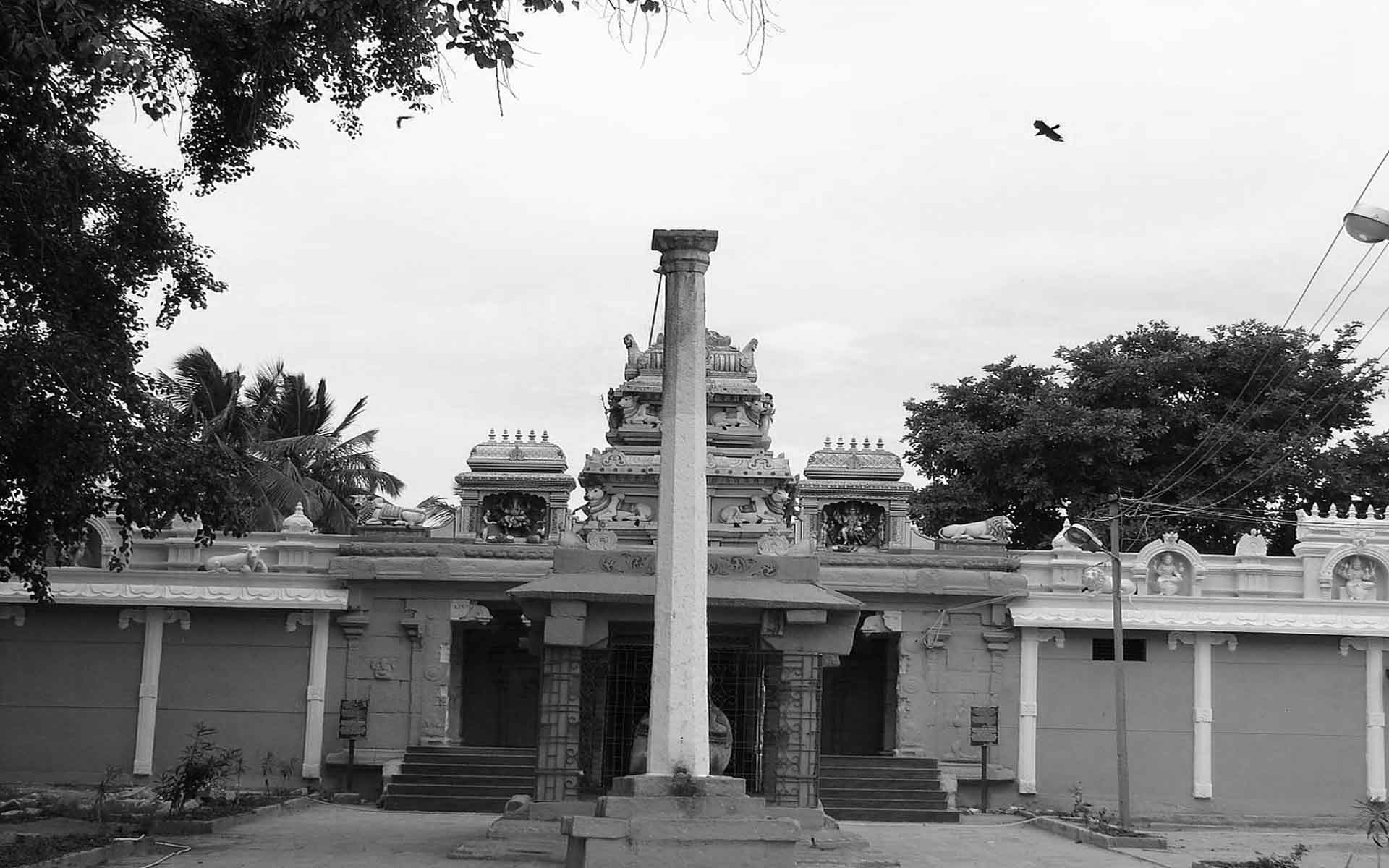 Purohitas and Purana Vidwans