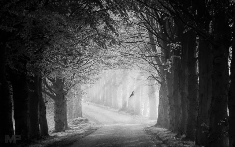 A Story for a Verse - Harihara and Madana