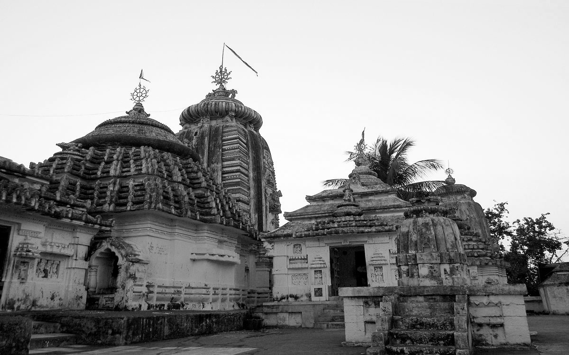 The Galaxy of Madhva Vidwans: The Madhva Sabha of Tirupati