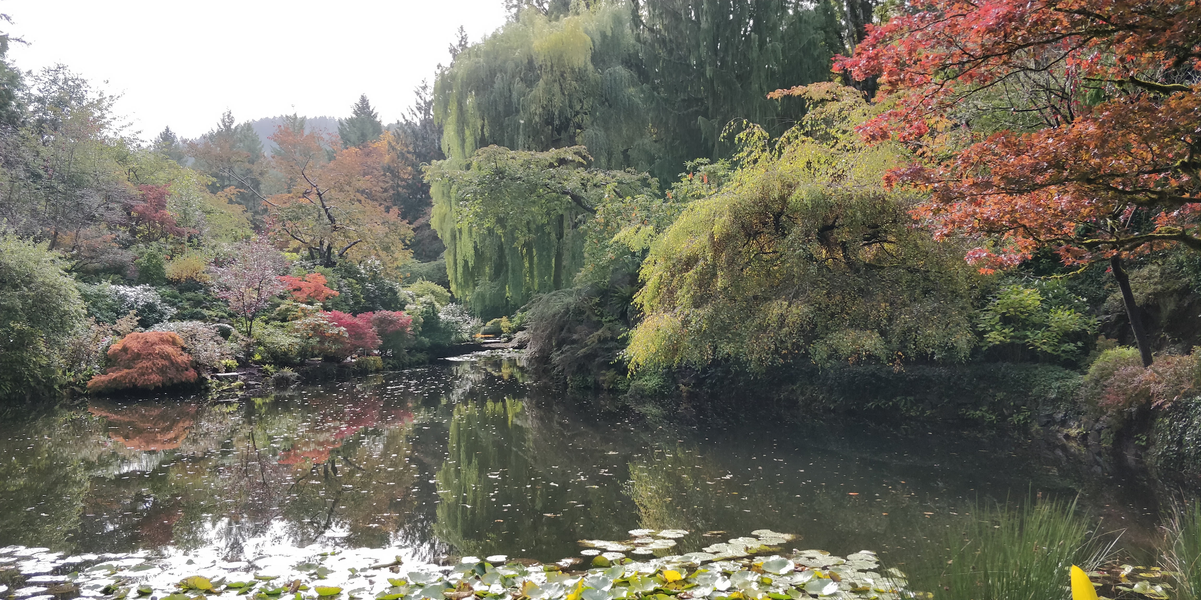 Ch. 4 Yoga of Unattached Karma (Part 7)