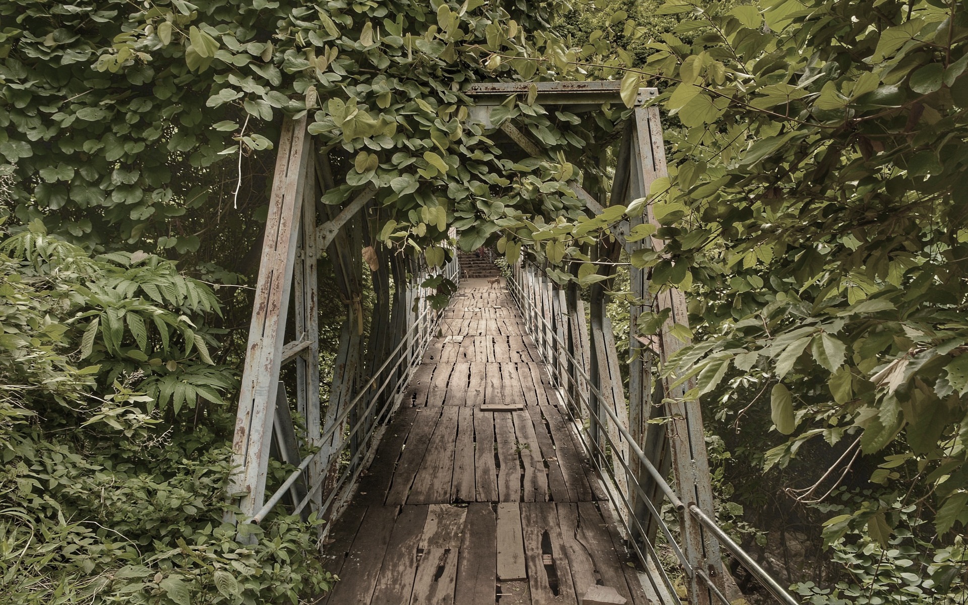 Ch. 2 Yoga of Discernment of Reality (Part 10)