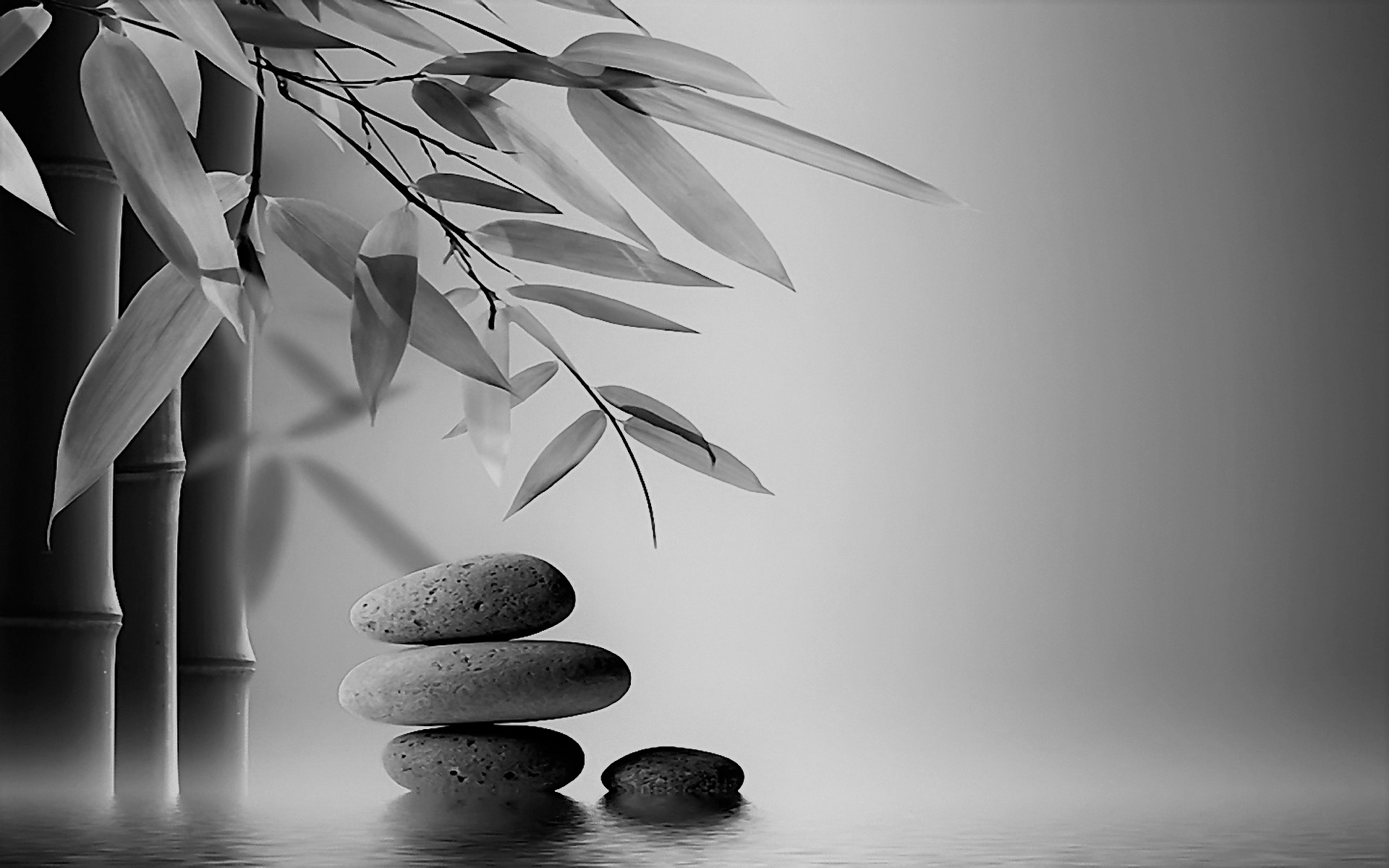 A Story for a Verse - Dvyaṅguḻi Śrīnivāsacārya