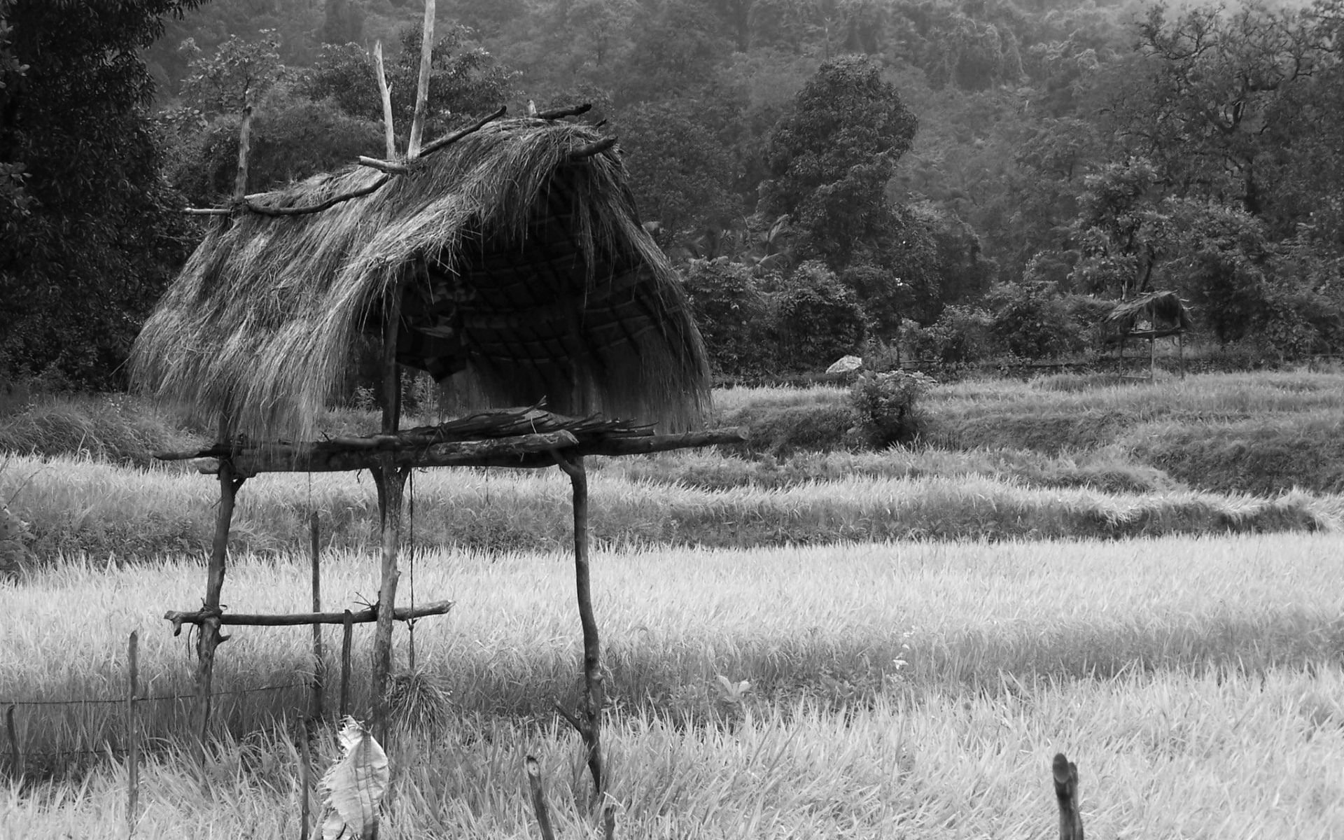 A Story for a Verse - Mallinatha