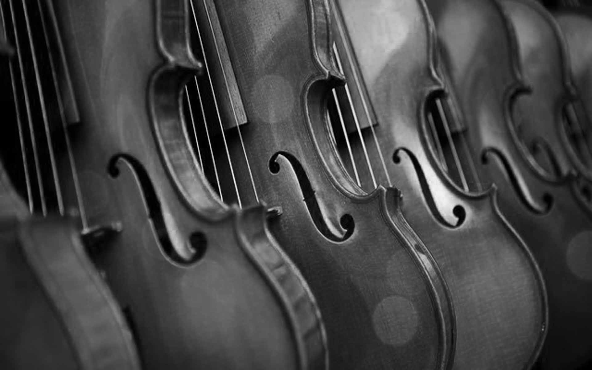 Bangalore’s Vainikas and Violinists