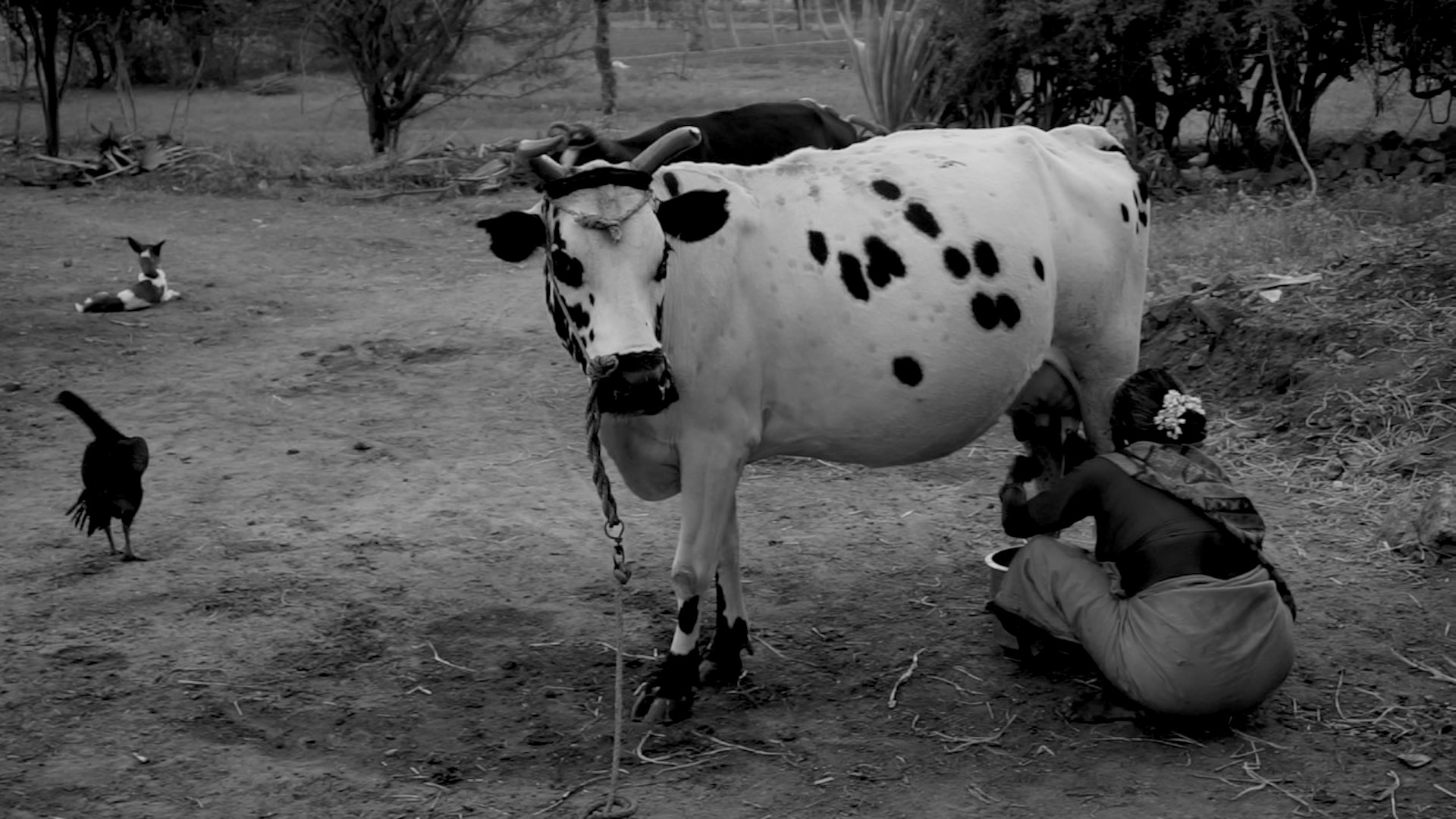 भारतीय क्षात्त्र परम्परा - Part 86