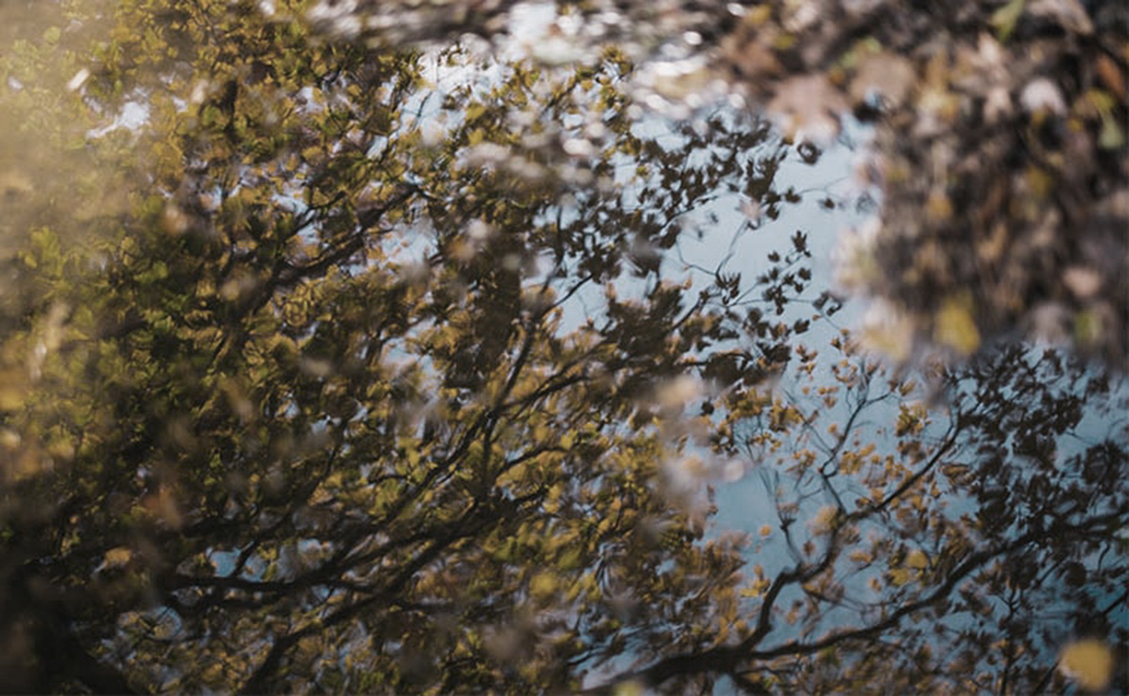 Introduction to the Kathāmṛta – Part 13 – What can we learn from the Kathā-sarit-sāgara? cont.