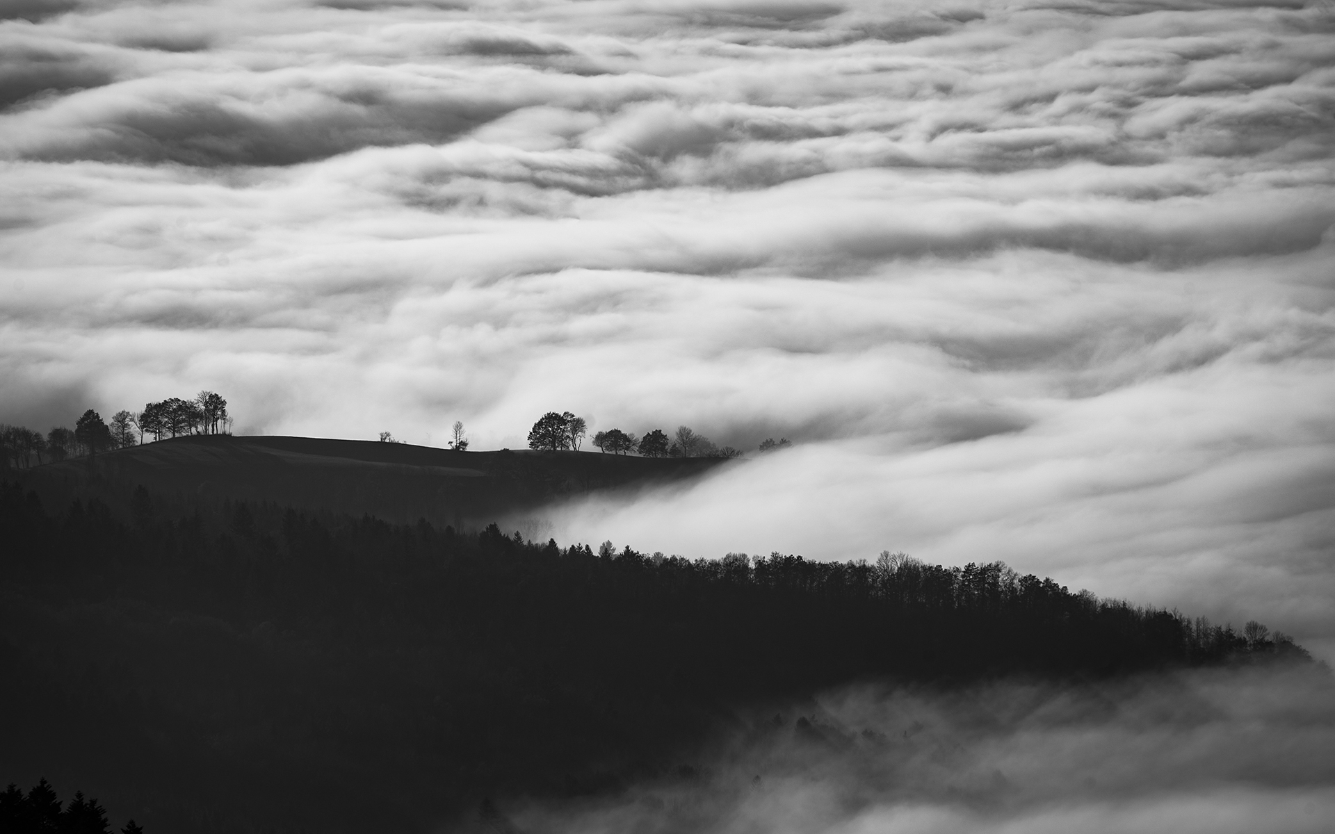 Ch. 16 Yoga of Distinction Between āsurī and daivī qualities (Part 5)