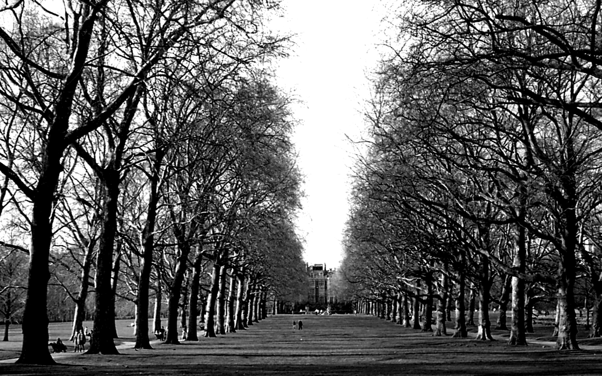 Kathāmṛta - 107 - Pañca-lambaka - The Story of Naravāhanadatta and the Cunning Vidyādharī