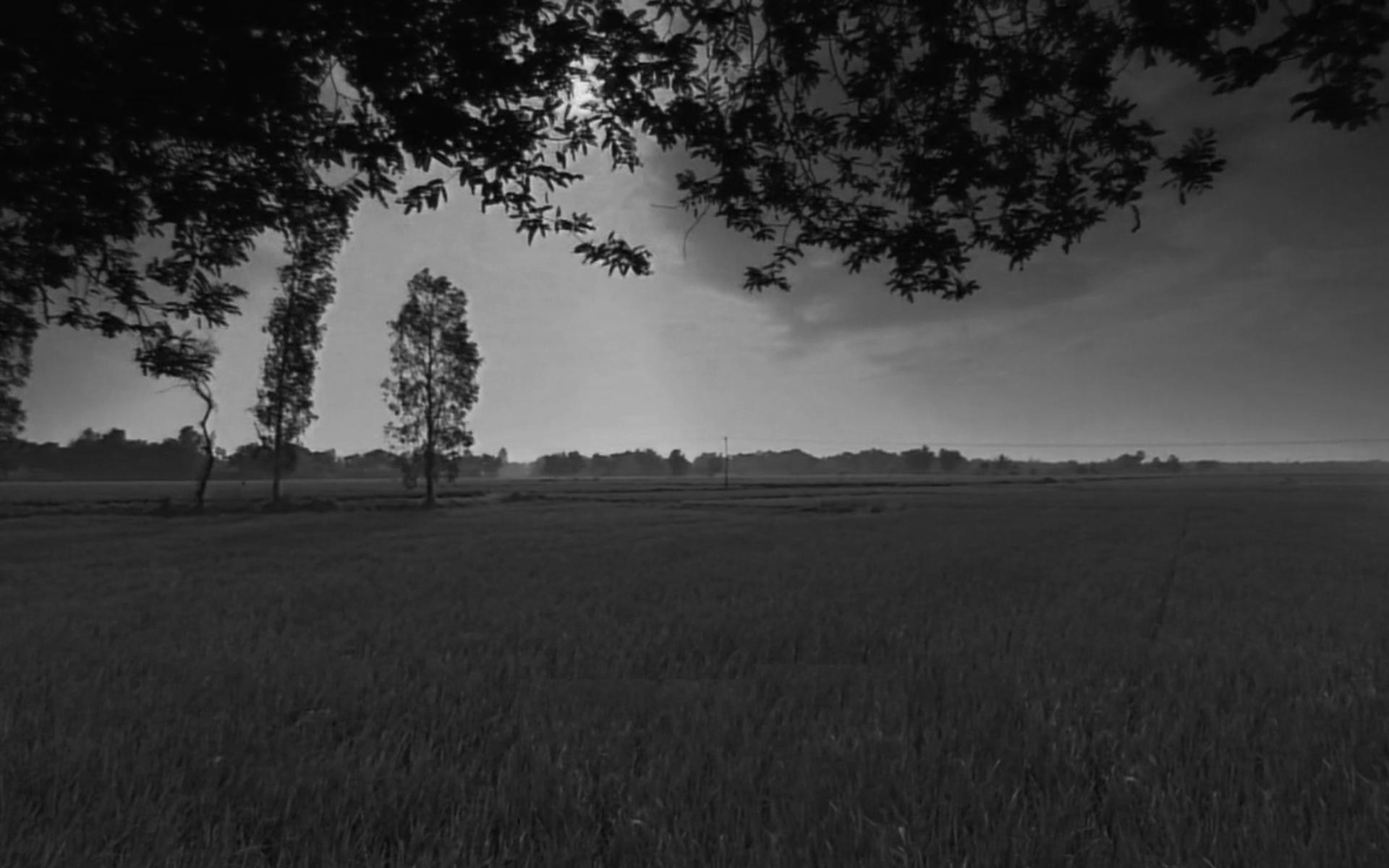 Ch. 5 Yoga of Harmony of Karma and Jñāna (Part 2)