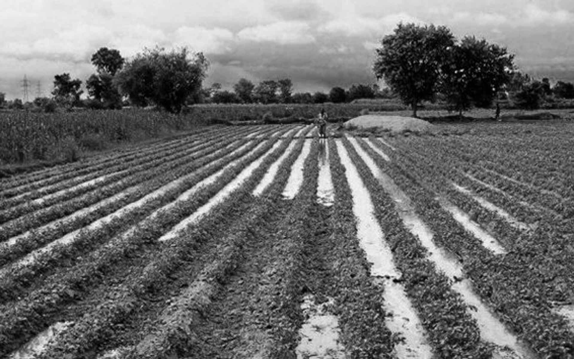 Bellave Venkatanaranappa – Fight against Corruption, Agriculture