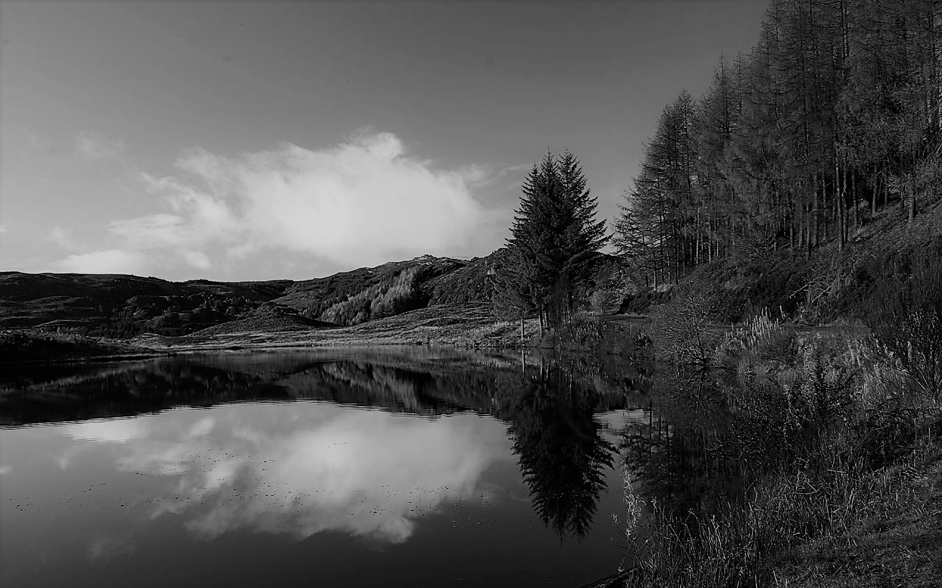 रसाभासो निरस्यते—२