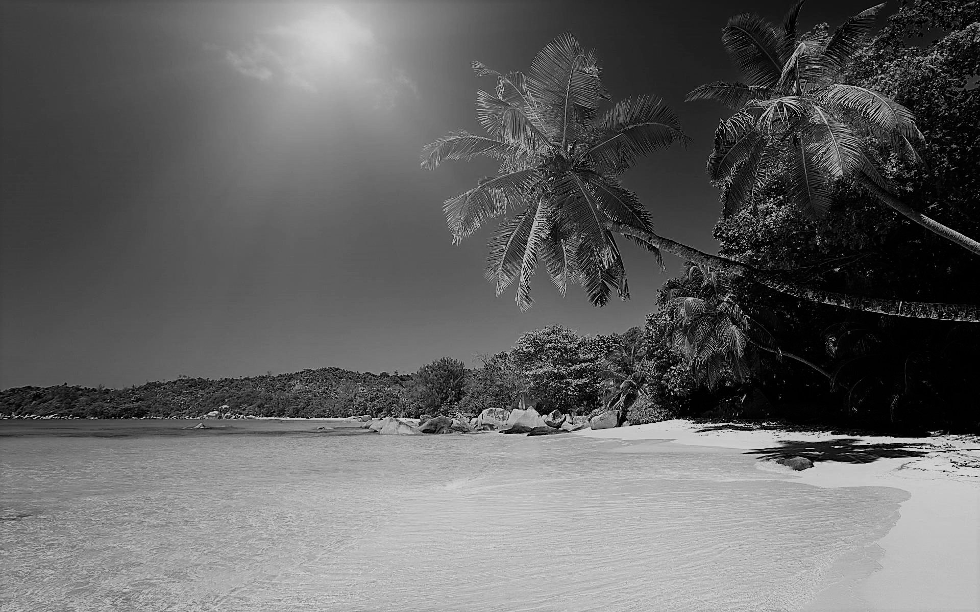 रसाभासो निरस्यते—१