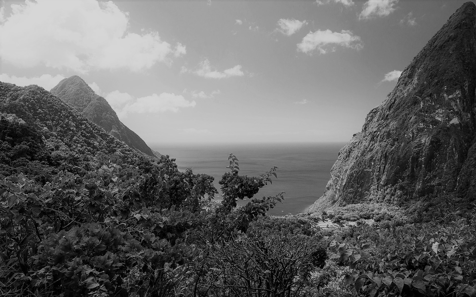 “ಅಭಿನವಭಾರತಿ”ಯ ಕೆಲವೊಂದು ವೈಶಿಷ್ಟ್ಯಗಳು — ರಸವಿಘ್ನಗಳು, ರಸದ ಸ್ವತಃಪ್ರಾಮಾಣ್ಯ