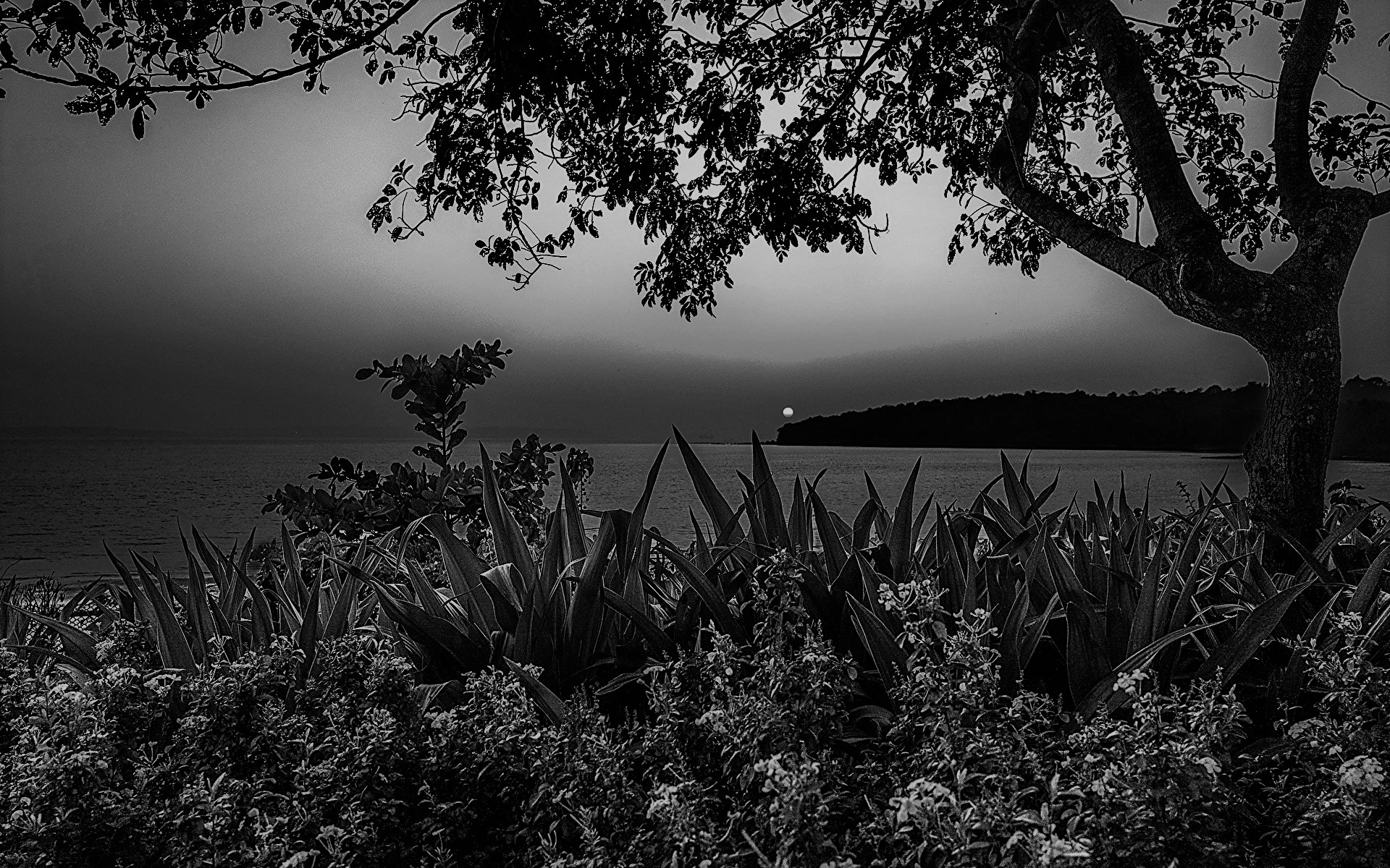 “ಅಭಿನವಭಾರತಿ”ಯ ಕೆಲವೊಂದು ವೈಶಿಷ್ಟ್ಯಗಳು — ಪ್ರವೃತ್ತಿಗಳು